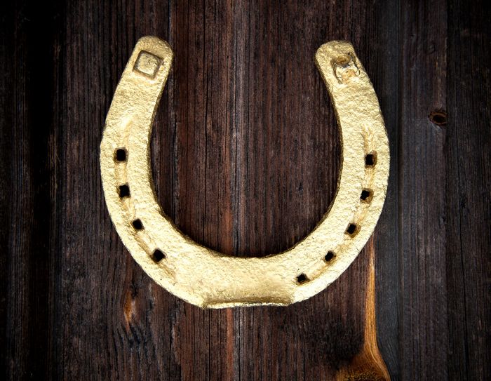 Золотая подкова Золотая подкова